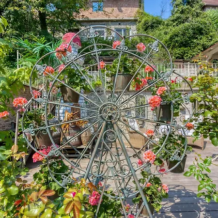 Royal Garden 슈코퍄로카